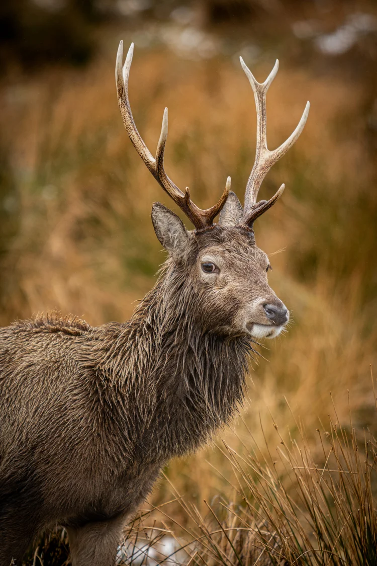 A Bespoke Nature Experience...