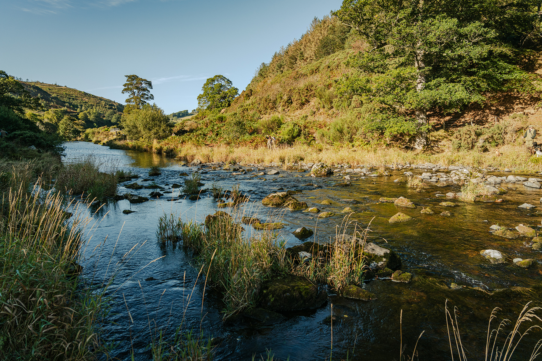 Scenic river landscape at Primrosehill Estate with golden autumn foliage